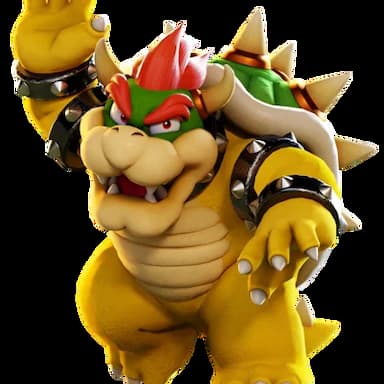 Bowser