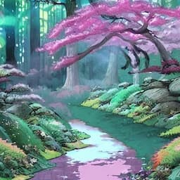 Sakura Grove Curse